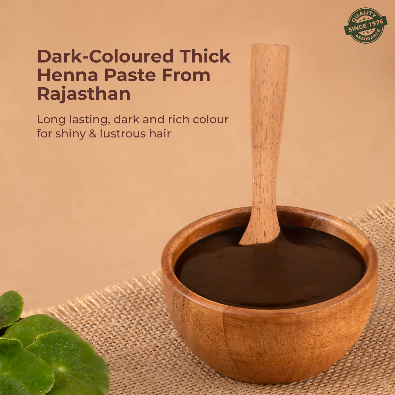 Indus Valley Bio Organic Herbal Henna Paste, 150g Pack of 2 with Applicator Brush
