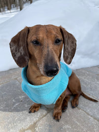 Gooby Zip Up Fleece Dog Sweater - Turquoise, Small - Warm Pullover Fleece Step-in Dog Jacket with Dual D Ring Leash - Winter Small Dog Sweater - Dog Clothes for Small Dogs Boy and Medium Dogs Small chest (~13.5