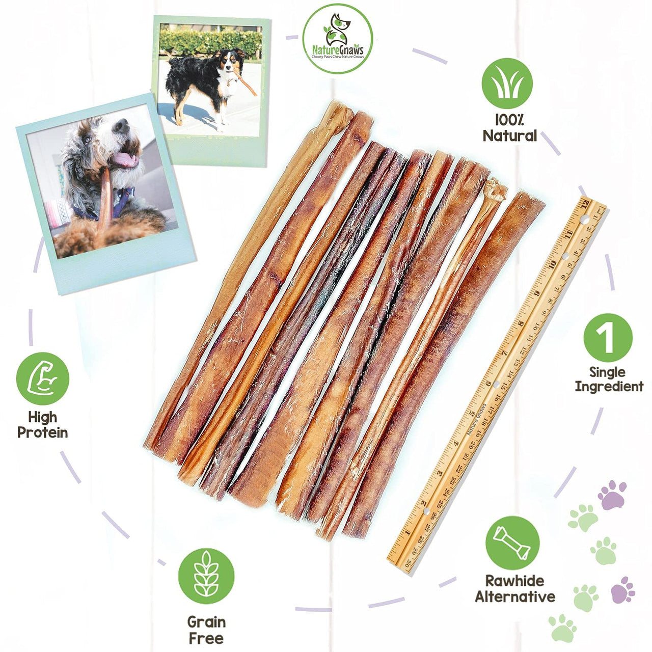 Nature Gnaws Bully Sticks for Large Dogs - Premium Natural Beef Dental Bones - Thick Long Lasting Dog Chew Treats for Aggressive Chewers - Rawhide Free , 5 Count (Pack of 1) 5 Count (Pack of 1)