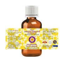 Deve Herbes Pure Jatamansi (Spikenard) Essential Oil (Nardostachys jatamansi) Steam Distilled 2ml