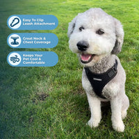 Voyager Step-in Lock Pet Harness - All Weather Mesh, Adjustable Step in Harness for Cats and Dogs by Best Pet Supplies - Black, XL Harness (Black) XL (Chest: 23 - 28