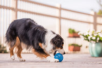 Planet Dog Orbee-Tuff Blue Guru Interactive Treat-Dispensing Puzzle Dog Toy