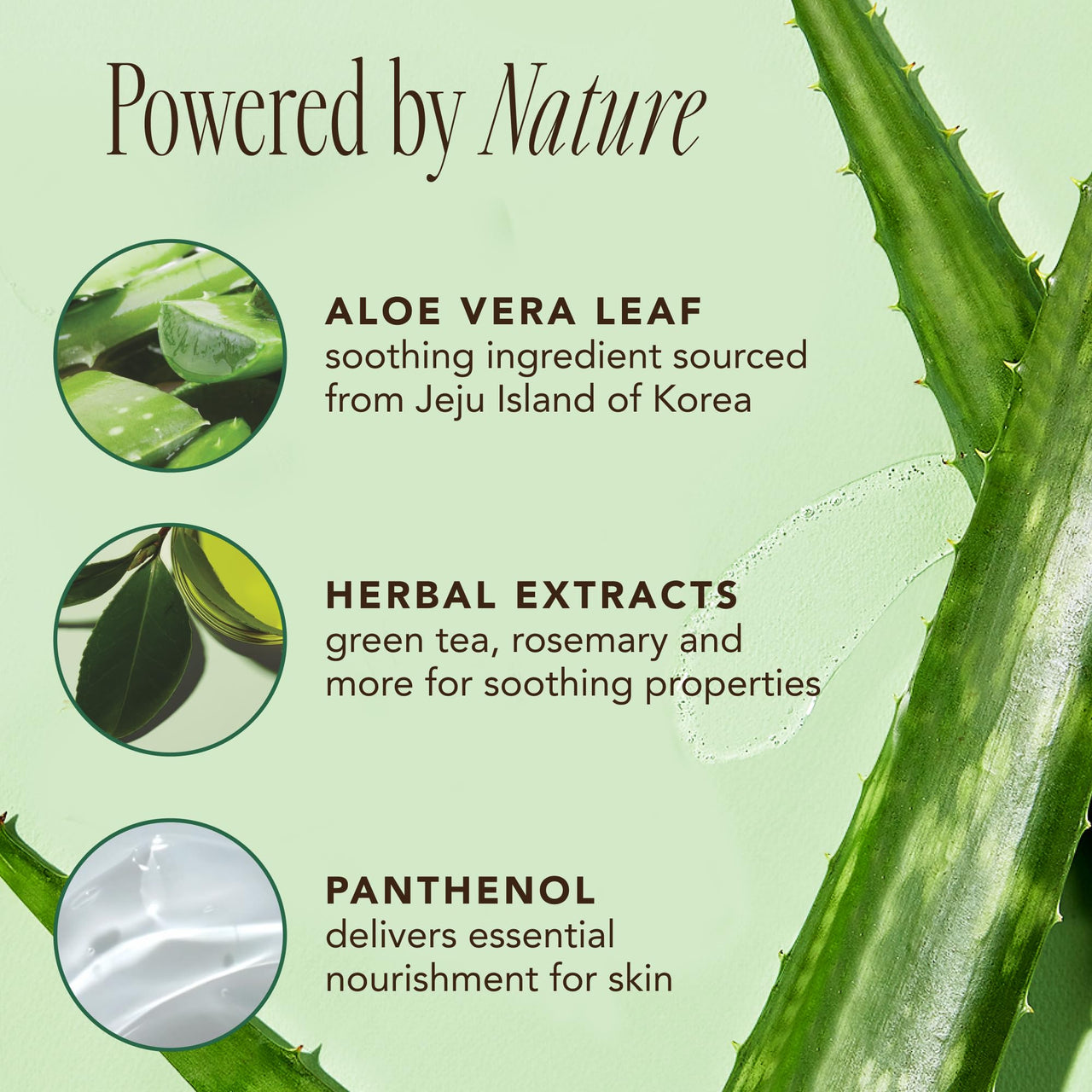 The Face Shop Jeju Aloe Fresh Soothing Foam Cleanser | Gel to Foam cleanser for Skin,Body and Face | Hydrating & cooling cleanser, 150ml