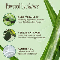 The Face Shop Jeju Aloe Fresh Soothing Foam Cleanser | Gel to Foam cleanser for Skin,Body and Face | Hydrating & cooling cleanser, 150ml