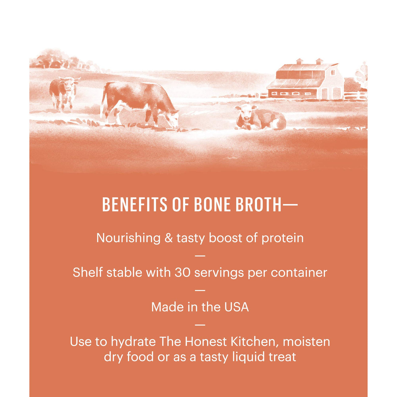 The Honest Kitchen Daily Boosts: Instant Beef Bone Broth Liquid Treat with Turmeric for Dogs and Cats, 3.6oz Pumpkin 3.6 Ounce (Pack of 1)