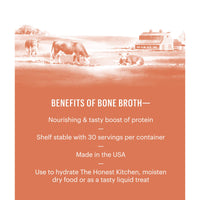 The Honest Kitchen Daily Boosts: Instant Beef Bone Broth Liquid Treat with Turmeric for Dogs and Cats, 3.6oz Pumpkin 3.6 Ounce (Pack of 1)