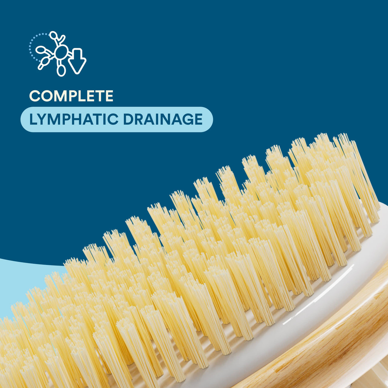 Bloom 2-in-1 Long Handle Body Brush | For Skin Exfoliation and Massage | Reduces Cellulite | Stimulates Blood Circulation & Reduces Dead Skin Cells | Natural, Soft Bristles | (1 unit)