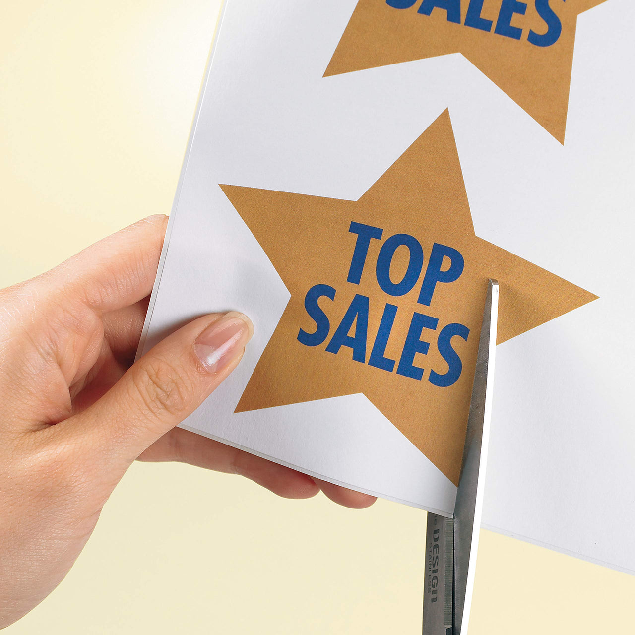 Avery Full Sheet Printable Shipping Labels, 8.5" x 11", White, 25 Blank Mailing Labels (5265) 25 labels