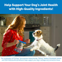 Cosequin Joint Health Supplement for Dogs - With Glucosamine, Chondroitin, MSM, and Omega-3's , 120 Soft Chews