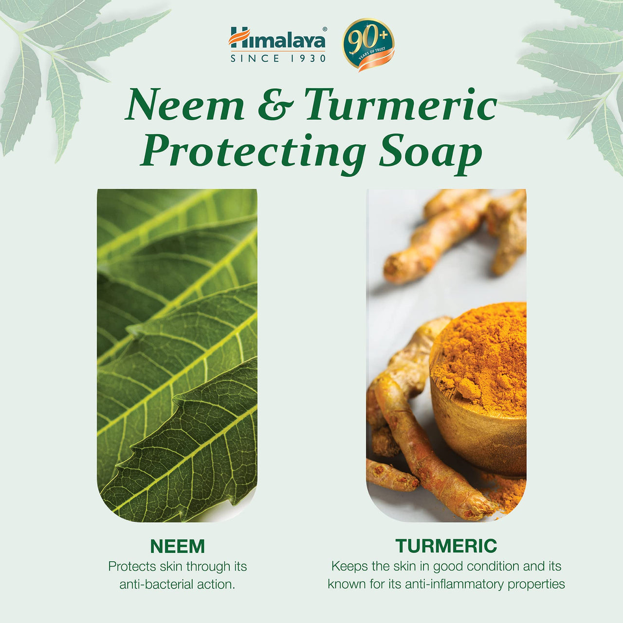 Himalaya Herbals Protecting Neem and Turmeric Soap, 75gm