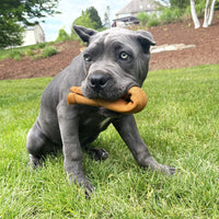 Pet Factory American Beefhide 3