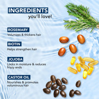 Botanic Hearth 100% Pure Rosemary Oil for Hair Growth | Controls Hair Fall, Promotes New Hair Growth | Hair Strengthening Treatment for Healthy Nourished Hair | 198 ml