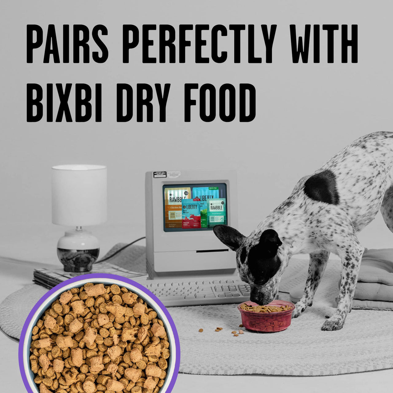 BIXBI Rawbble Freeze Dried Dog Food, Lamb Recipe, 26 oz - 97% Meat and Organs, No Fillers - Pantry-Friendly Raw Dog Food for Meal, Treat or Food Topper - USA Made in Small Batches 26 Ounce (Pack of 1)