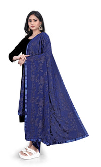 AKSHAR LLC Women's  Embroidered Chiffon Dupatta