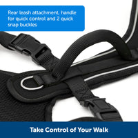 PetSafe EasySport Dog Harness - Padded, Adjustable Dog Harness with Control Handle and Reflective Piping - Great for Active Dogs - from The Makers of The Easy Walk Harness - Small, Charcoal