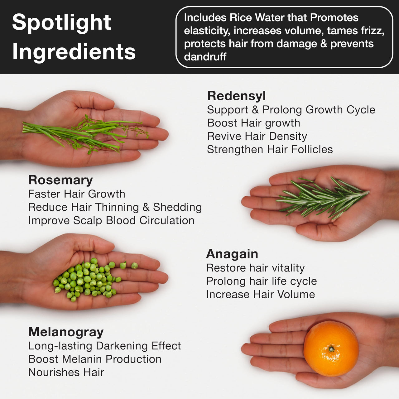 Soulflower Rosemary Essential Oil 15ml & Rosemary Redensyl Hair Growth Serum 30ml with 4% Anagain, 1% Melanogray, Caffeine, Biotin for Hair Growth, Hairfall Control & Healthy Scalp | Pack of 2