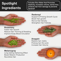 Soulflower Rosemary Essential Oil 15ml & Rosemary Redensyl Hair Growth Serum 30ml with 4% Anagain, 1% Melanogray, Caffeine, Biotin for Hair Growth, Hairfall Control & Healthy Scalp | Pack of 2