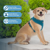 Aerolite No Pull Mesh Dog Harness with Lightweight, Soft, Breathable Chest Coverage, Reflective Stitching, and Adjustable Straps for Walking, Running, Training, Heavy Duty and Durable - Turquoise, M