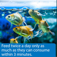 API GOLDFISH PELLETS Fish Food 7-Ounce Container, Large (833C)