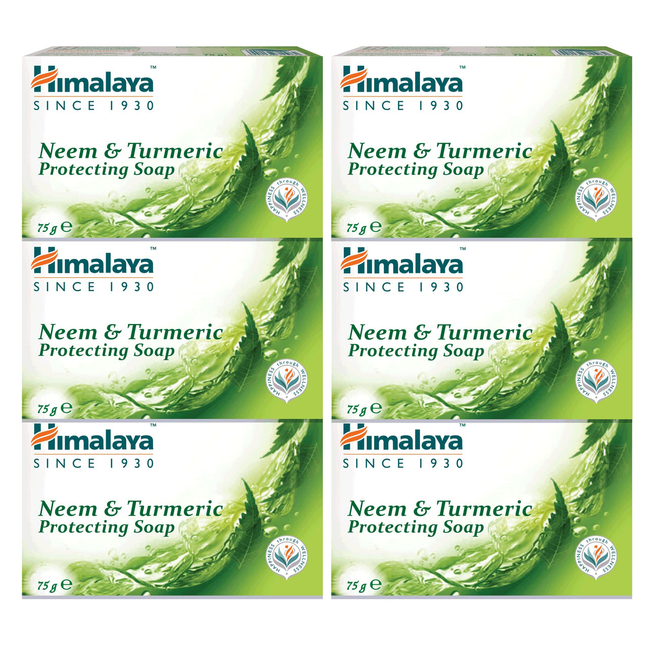 Himalaya Herbals Protecting Neem and Turmeric Soap, 75g (Pack of 6)