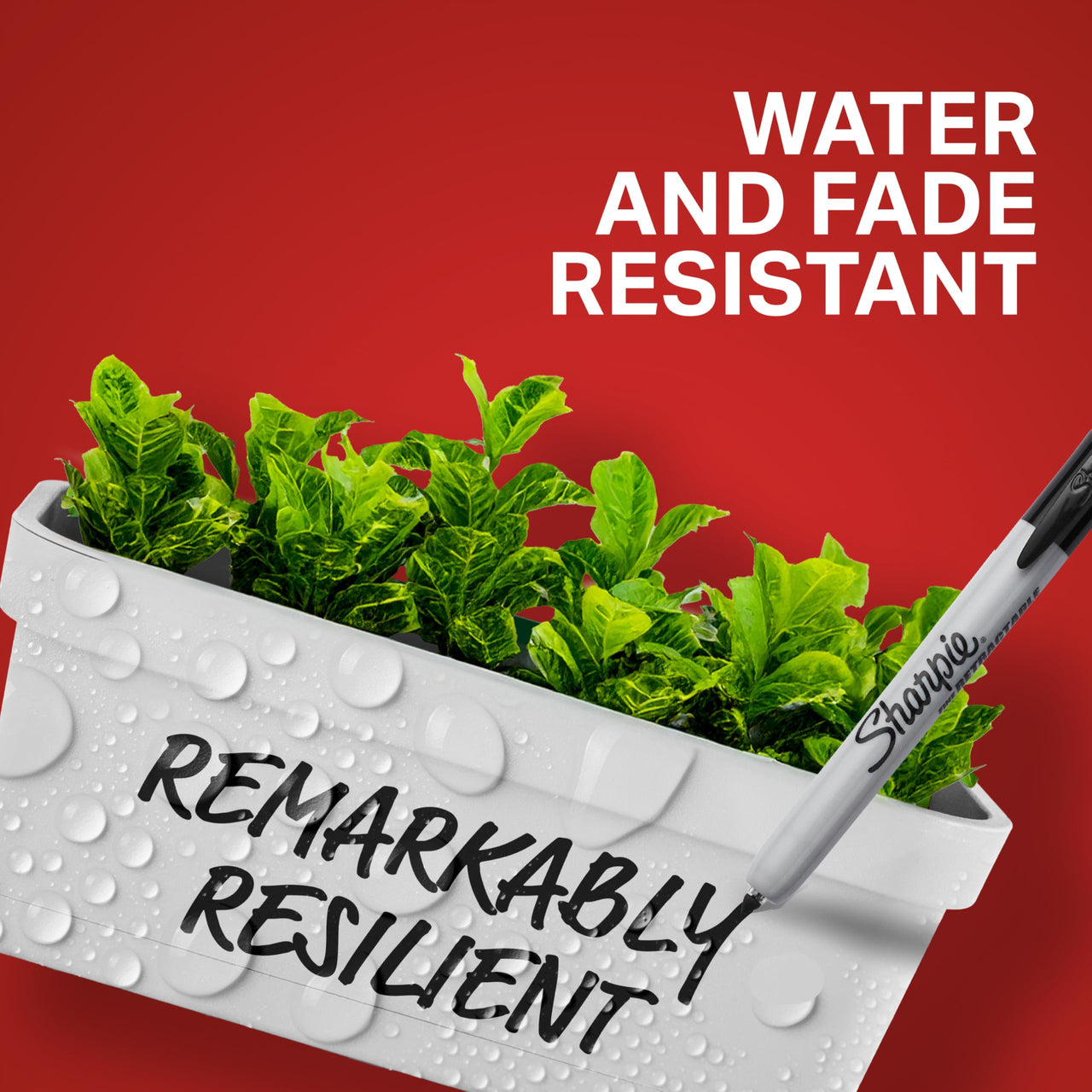 Sharpie Retractable Permanent Markers, Fine Tip Marker Set, Office Supplies, Teacher Supplies, Black, 12 Count 12 Count Black