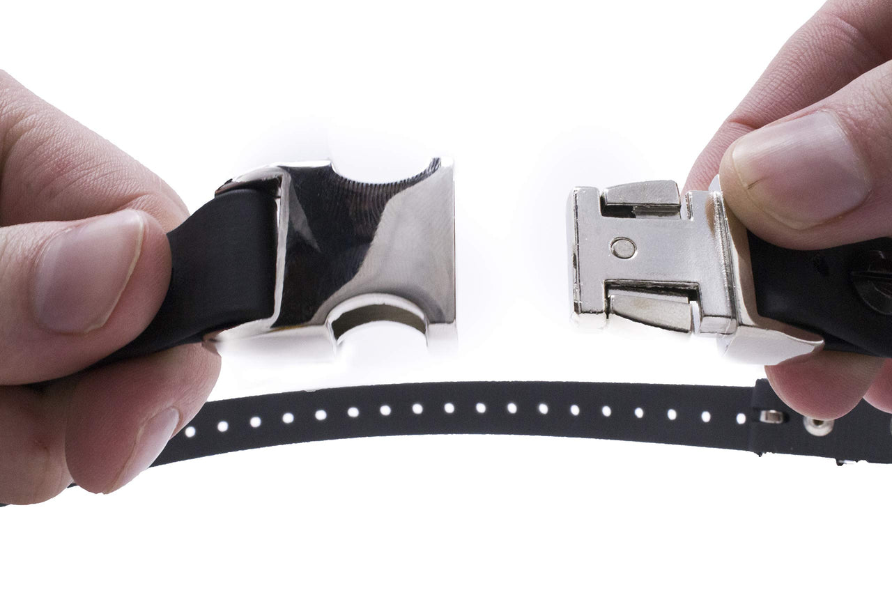 Educator Quick Snap Bungee Dog Collar, Biothane, Waterproof, Odorproof, Easy Connect and Disconnect Clasp and D Ring with Comfort Bungee Loop, Adjustable for Custom Fit, 3/4-Inch, Black 3/4" Wide Fits 300, 400, 500, 900 Series