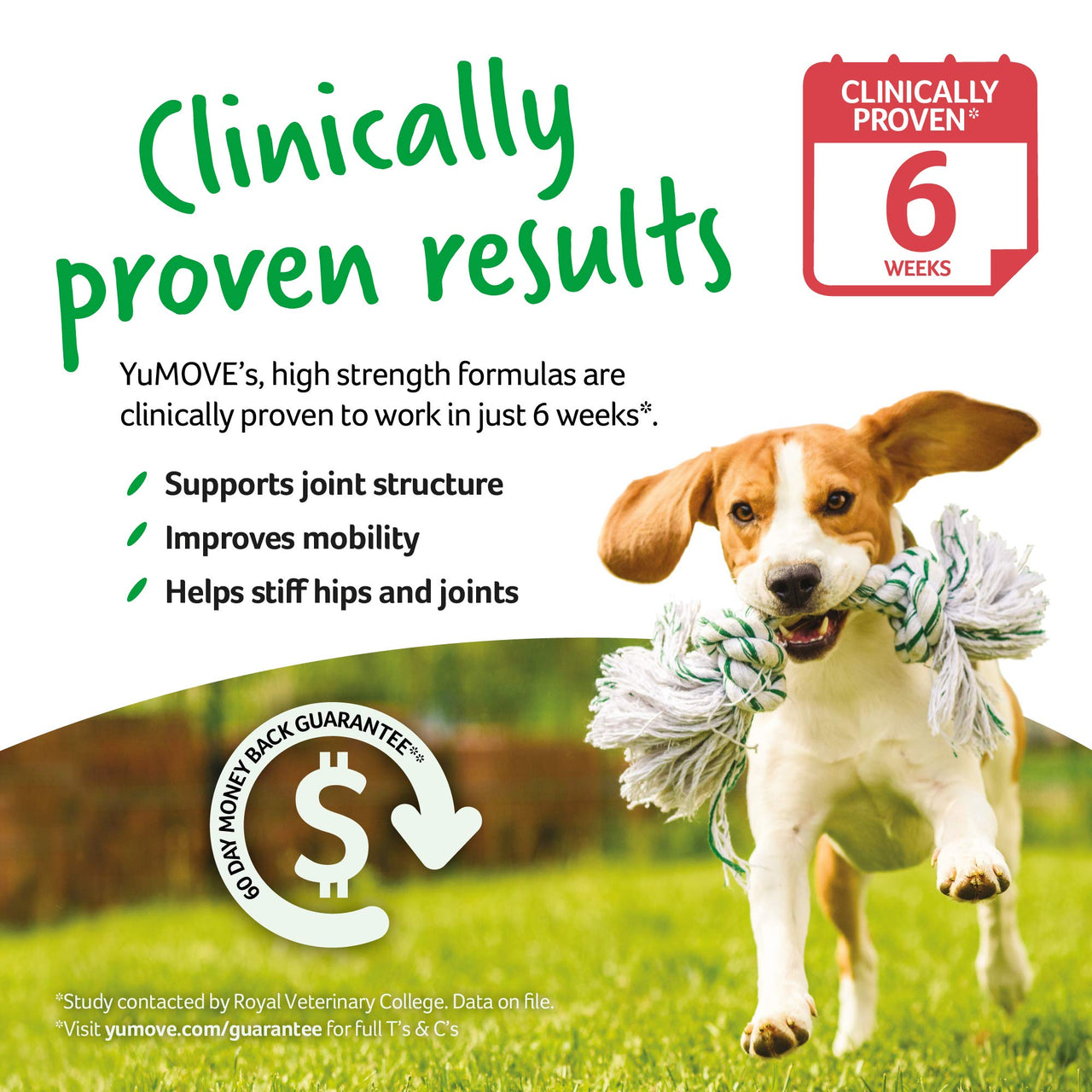 YuMOVE Daily Chews | Hip and Joint Supplement for Large & X Large Dogs with Glucosamine, Hyaluronic Acid, Green Lipped Mussel | 60 Chews - 1 Month's  Supply