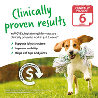YuMOVE Daily Chews | Hip and Joint Supplement for Large & X Large Dogs with Glucosamine, Hyaluronic Acid, Green Lipped Mussel | 60 Chews - 1 Month's  Supply