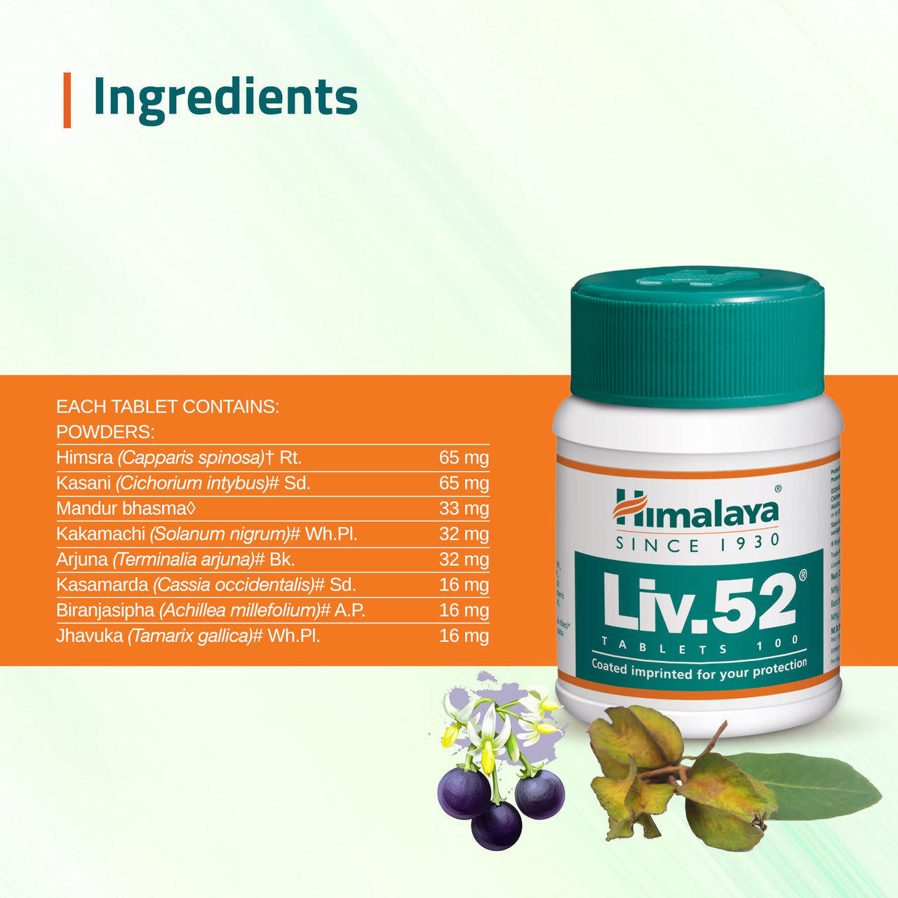 Himalaya Liv.52 Tablets - 100 Counts