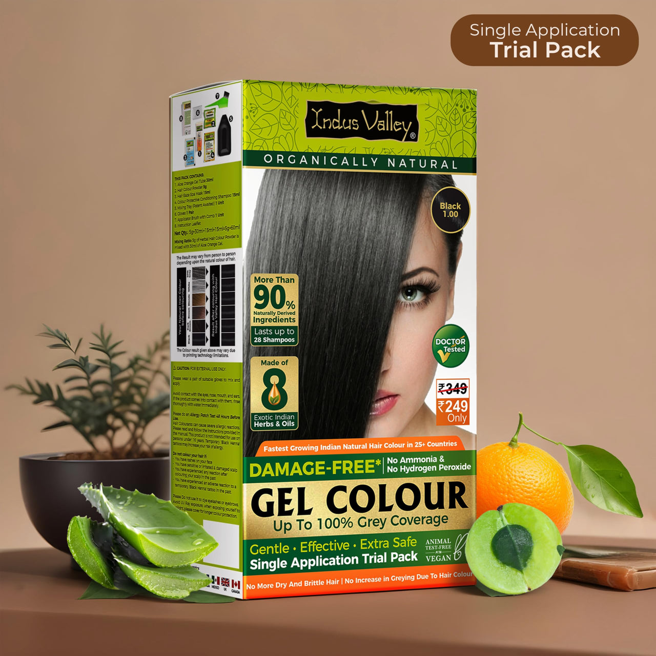 INDUS VALLEY Damage Free Natural Gel Hair Colour for Women | Ammonia & PPD Free Organic Hair Colour with 100% Grey Coverage, Long Lasting Hair Color Trial Pack (Black, 65 ml)