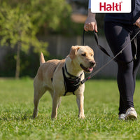 HALTI No Pull Harness - To Stop Your Dog Pulling on the Leash. Adjustable, Lightweight and Easy to Use. Reflective Dog Training Harness for Medium Dogs (Size M)