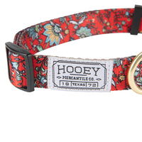 Hooey Nomad Dog Collar, Durable Polyester Webbing Collar with Graphic-Inspired Prints, Western Floral, Medium