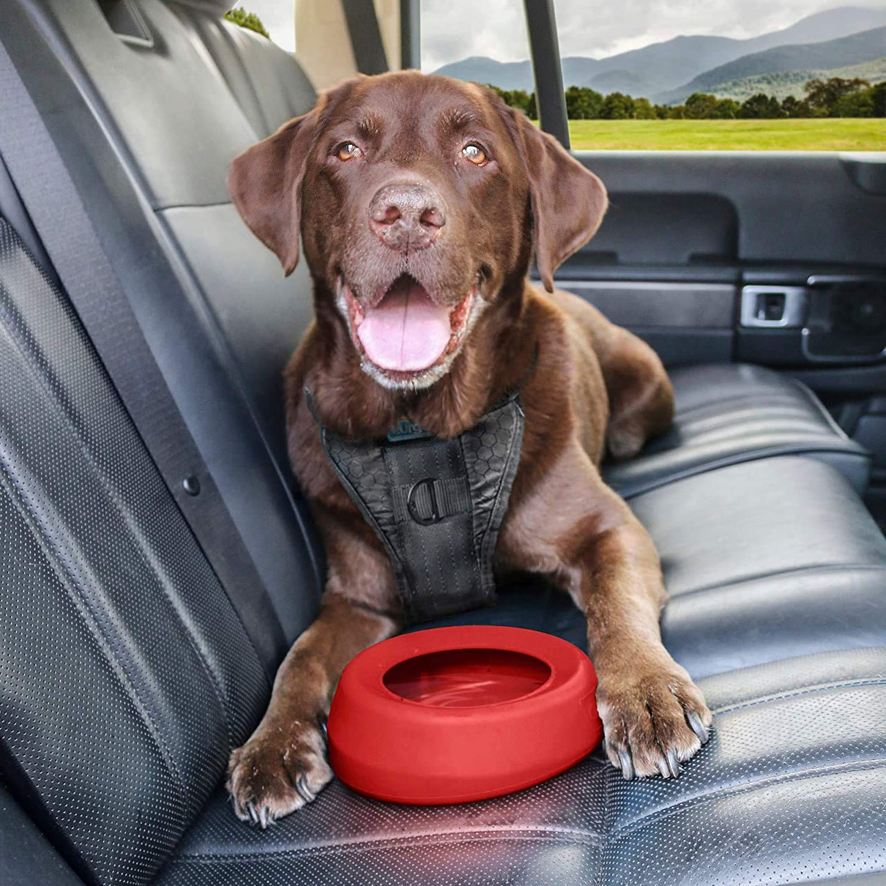 Kurgo Splash Free Wander Water Bowl, No Spill Dog Travel Bowl, Portable No Mess Water Bowl for Dogs, Splash Less Pet Bowl for Car Travel, Dog Travel Accessories, 24 oz, Chili Red