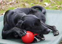 Jolly Pets Tug-n-Toss Heavy Duty Dog Toy Ball with Handle, 4 Inches/Petite, Red 4 in/Petite