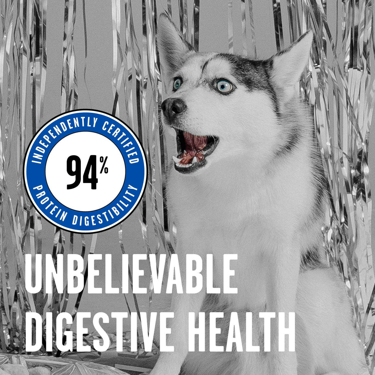 BIXBI Rawbble Freeze Dried Dog Food, Turkey Recipe, 12 oz - 96% Meat and Organs, No Fillers - Pantry-Friendly Raw Dog Food for Meal, Treat or Food Topper - USA Made in Small Batches 12 Ounce (Pack of 1)