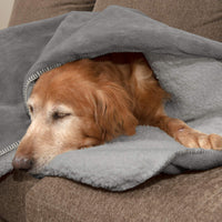 Furhaven Waterproof & Self-Warming Throw Blanket for Dogs & Indoor Cats, Washable & Reflects Body Heat - Terry & Sherpa Dog Blanket - Silver Gray, Large Blanket - Terry & Sherpa (Silver Gray) Self-Warming & Waterproof