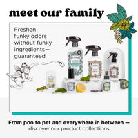 Poo-Pourri Before-You-Go Toilet Spray, Beach Bum, 1 Fl Oz Pocket Travel Size - Coconut, Orchid and Toasted Praline 1 Fl Oz (Pack of 1)