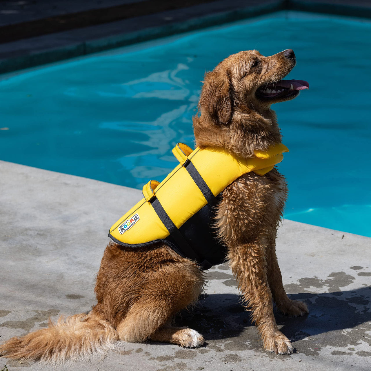 Outward Hound Granby Splash Yellow Dog Life Jacket, XS