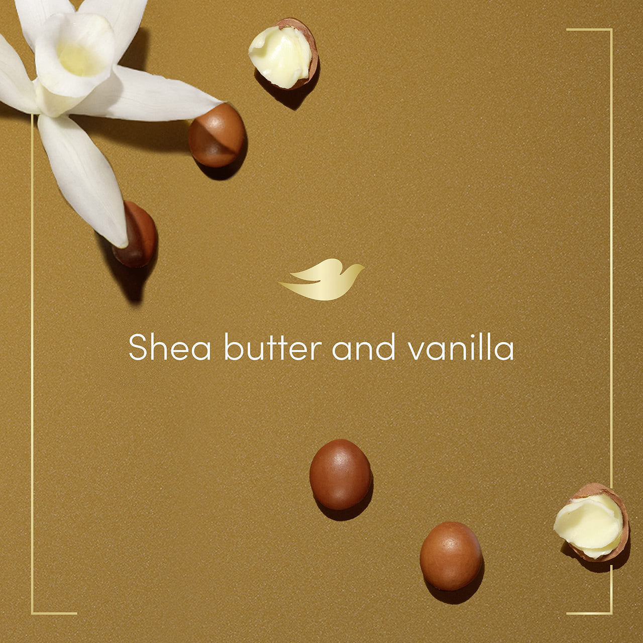 Dove Purely Pampering Body Wash with Pump for Dry Skin Shea Butter with Warm Vanilla Cleanser That Effectively Washes Away Bacteria While Nourishing Your Skin 34 oz