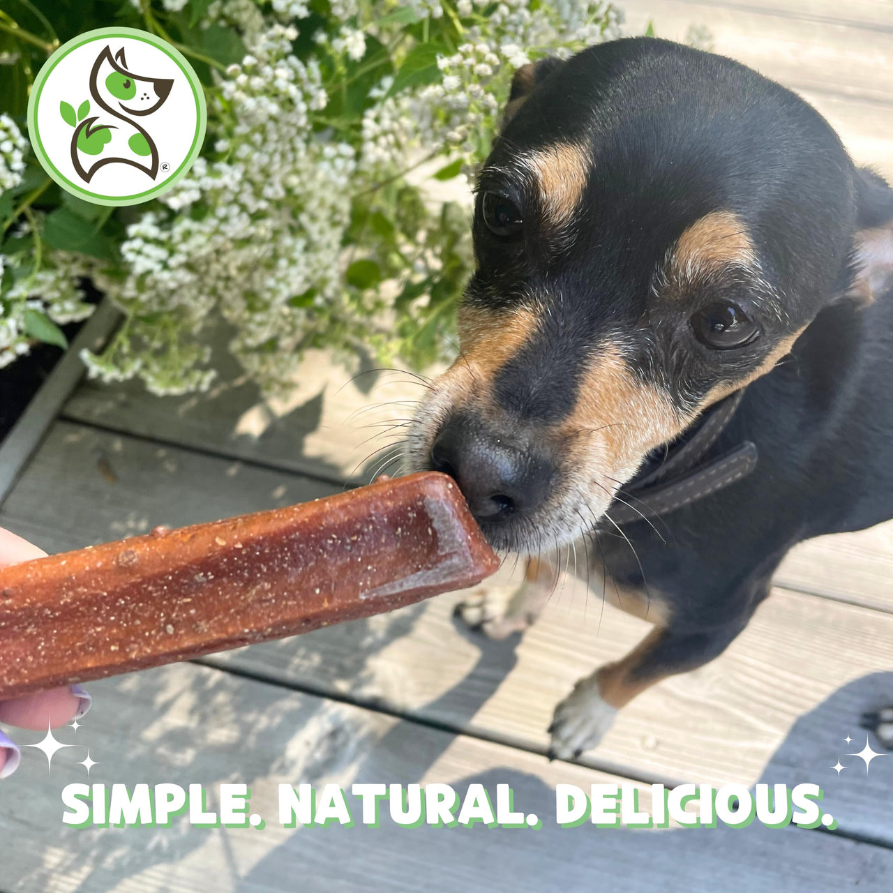 Nature Gnaws Cheese Bar Chews for Dogs  Natural Lasting Hard Chew Treats - Rawhide Free Dog Bones - Yak Alternative 4 Count