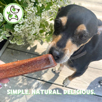 Nature Gnaws Cheese Bar Chews for Dogs  Natural Lasting Hard Chew Treats - Rawhide Free Dog Bones - Yak Alternative 4 Count