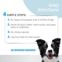 Nylabone Advanced Oral Care Foaming Dog Tartar Remover - Dog Breath Freshener & Teeth-Cleaning Foam (4 oz.) 3 Fl Oz (Pack of 1)