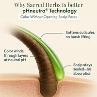 SACRED HERBS Ammonia & PPD Free Organic Gel Hair Color | pH Neutral | Long Lasting Colour with 100% Grey Coverage | Conditioning & Damage Free Natural Hair Coloring for Men & Women Burgundy 3.60 - 240ml+20gm