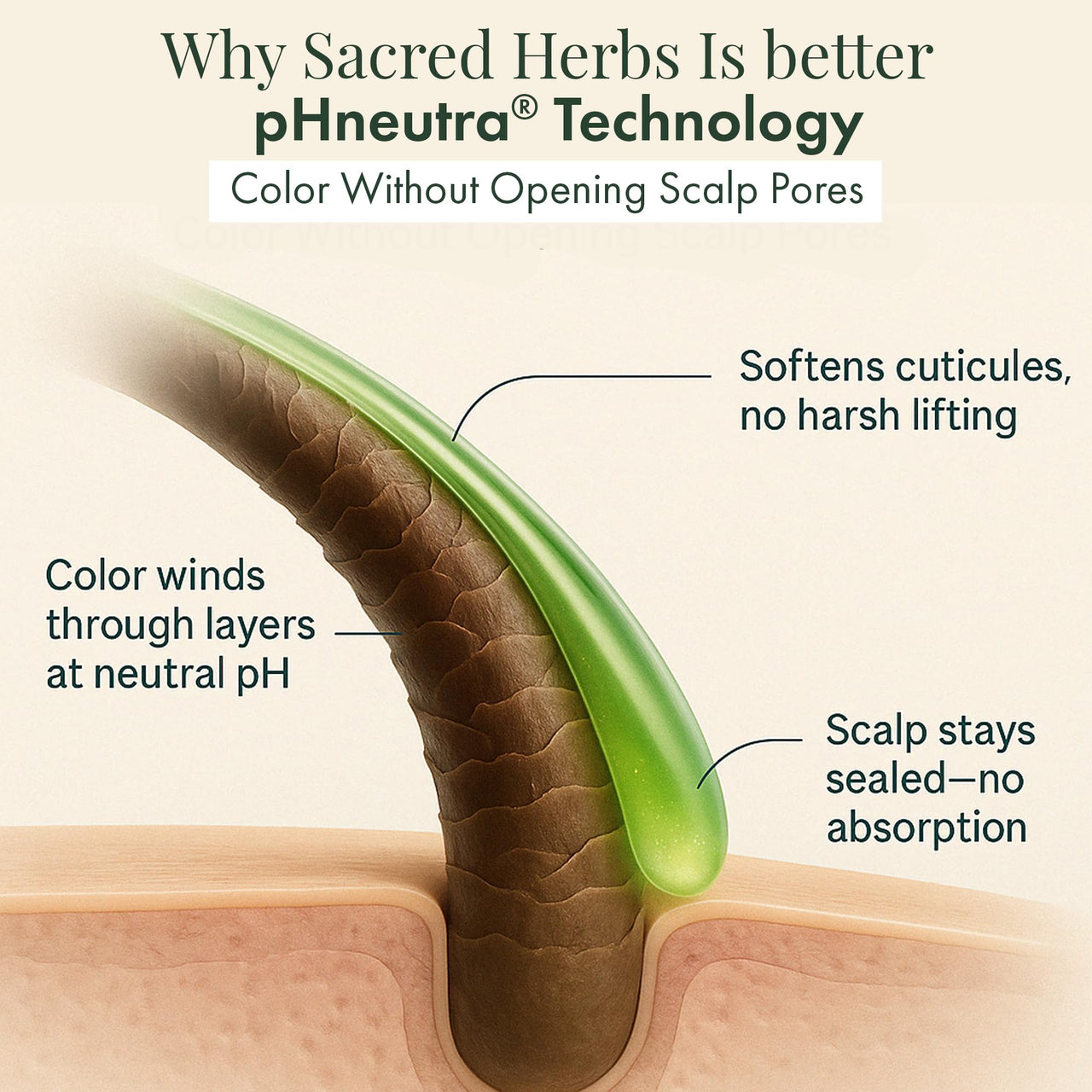 SACRED HERBS Ammonia & PPD Free Organic Gel Hair Color | pH Neutral | Long Lasting Colour with 100% Grey Coverage | Conditioning & Damage Free Natural Hair Coloring for Men & Women Light Brown 5.00 - 240ml+20gms