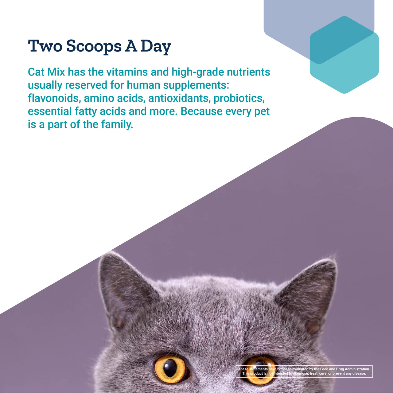 Life Extension Cat Mix  For Heart, Kidney & Pancreatic Function + Gut Health with Vitamins & Essential Nutrients - Formula For Kitty - Gluten-Free, Non-GMO  Net Wt.100 Grams (85 Servings)