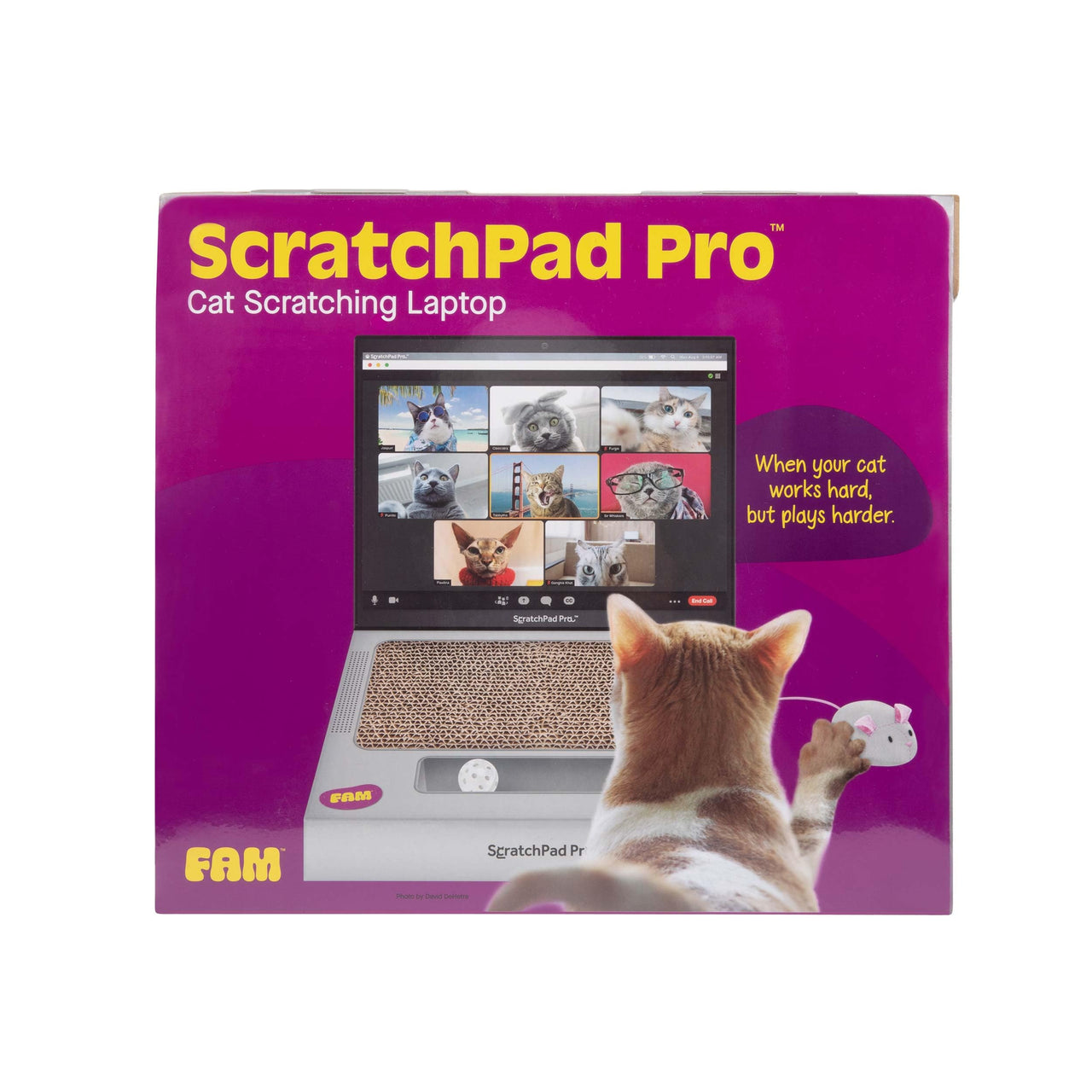 ScratchPad Pro - Laptop Scratcher Cat Toy - Unique Cat Toy 3-in-1 with Stickers