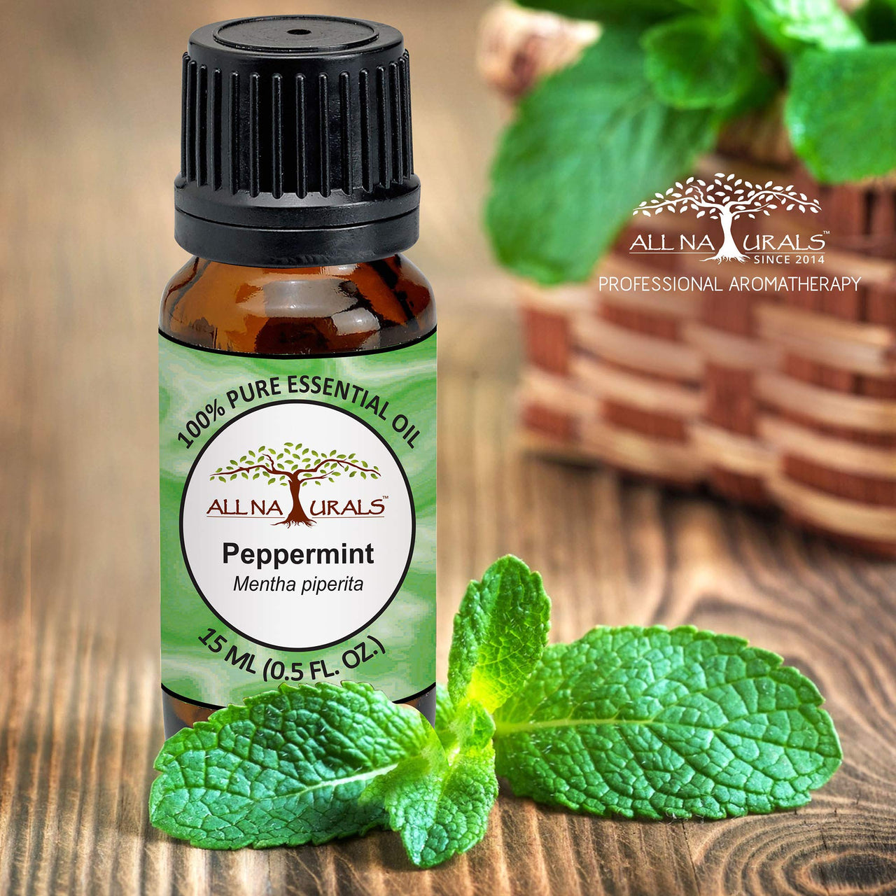 All Naturals Peppermint Essential Oil (UP, India) 100% Pure with Strong Lasting Aroma to keep cars rats and insects free | For Hair Growth & Pain Relief - 15 mL