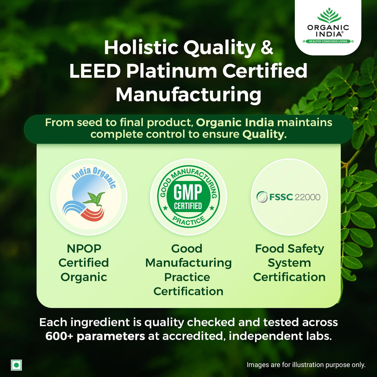 A TATA Product - Organic India Moringa Powder - 100g, Essential Nutrition Superfood, Helps Naturally Boost Energy Levels, Improves Stamina & Vitality, Rich In Vitamins & Minerals