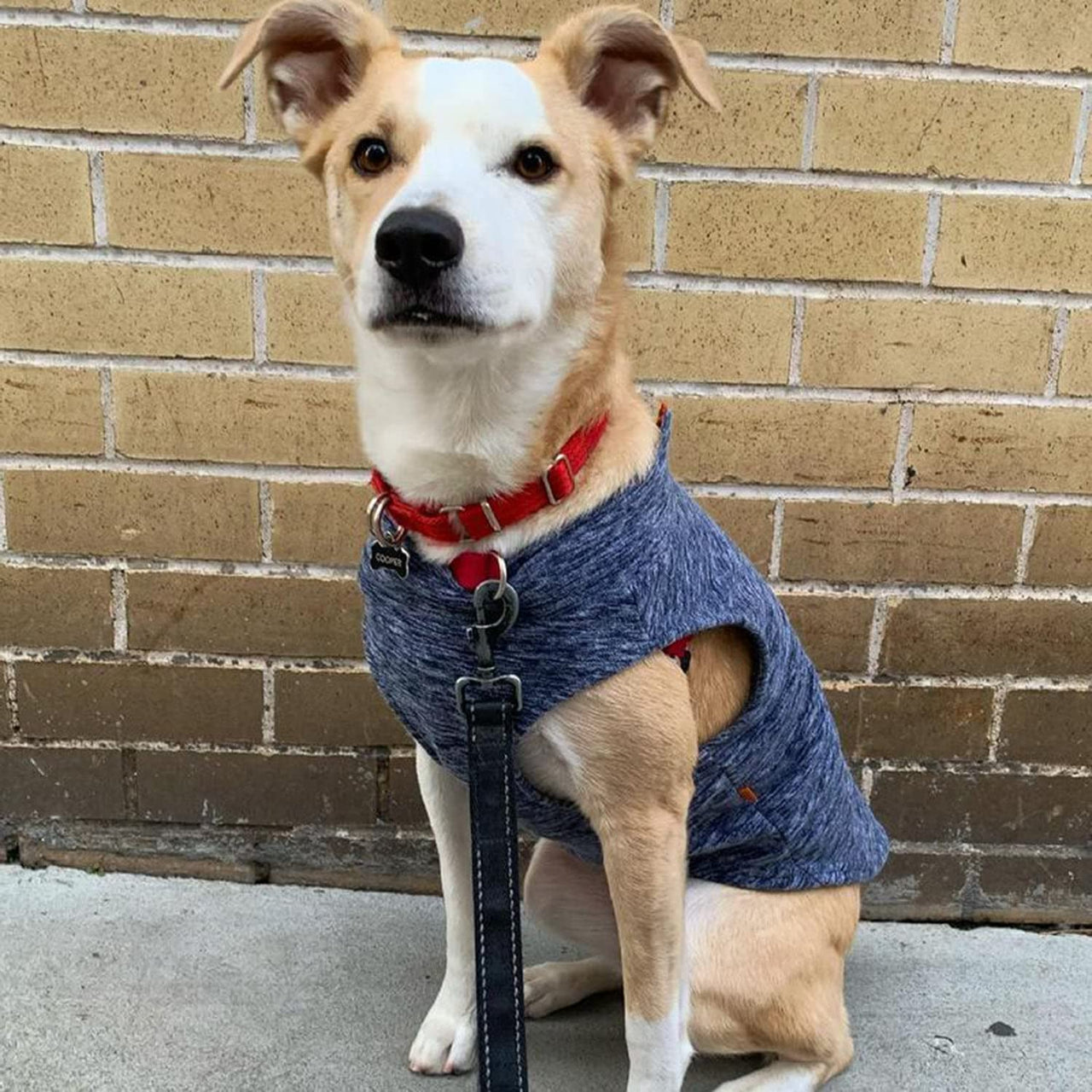 Gooby Zip Up Fleece Dog Sweater - Gray Wash, 3X-Large - Warm Pullover Fleece Step-in Dog Jacket Without Ring Leash - Winter Small Dog Sweater - Dog Clothes for Small Dogs Boy and Medium Dogs 3X-Large chest (~28.5")