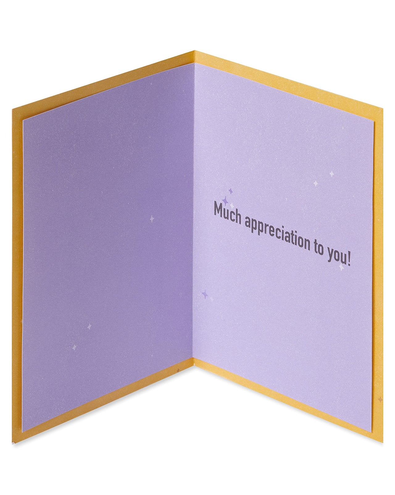 American Greetings Thank You Card (Much Appreciation) Much Appreciation
